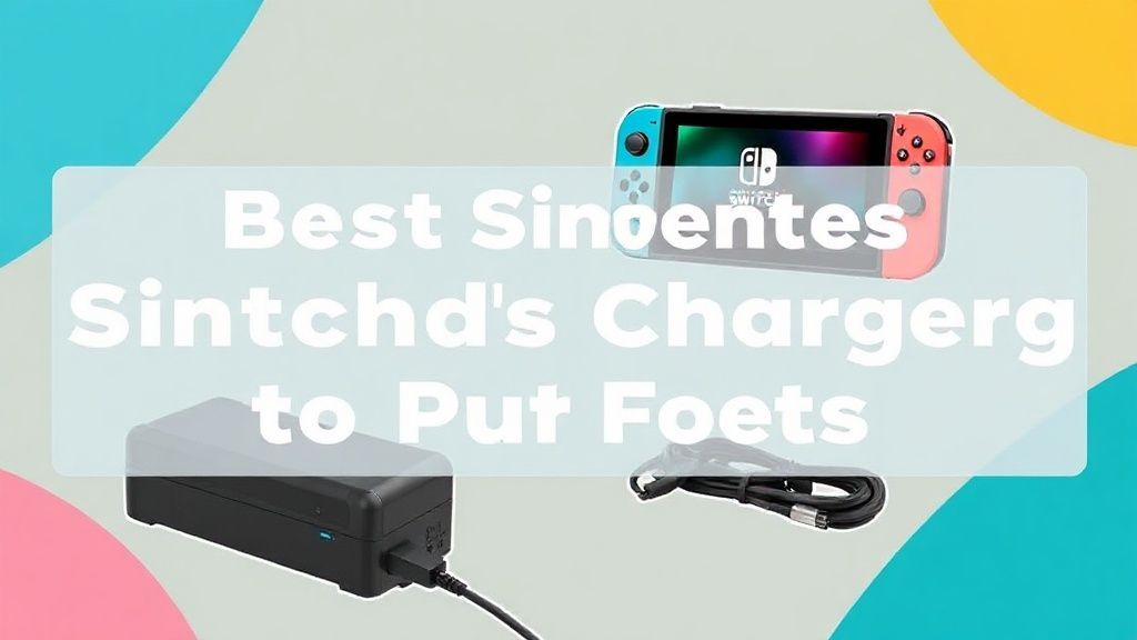 Switch玩家必看！2024年最佳充电设备全攻略