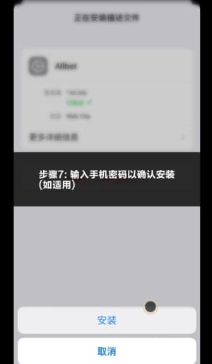 欧博iOS版APP下载、安装与部署全流程操作示意图7